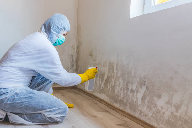 Mold Remediation specialist working in Springs