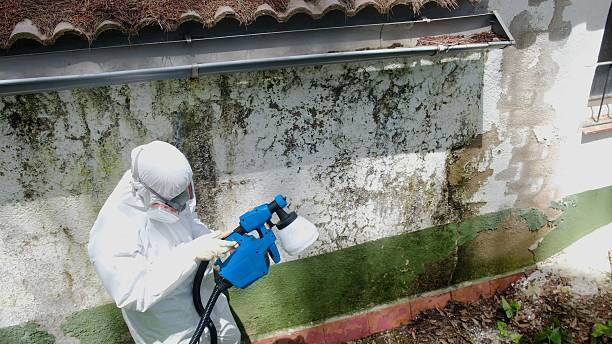 Mold Remediation service in Springs, Springs, PA